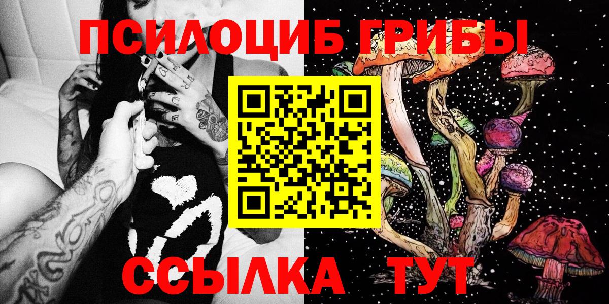Галлюциногенные грибы Psilocybine cubensis Калининград
